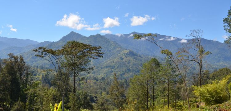 tiempo Guinea