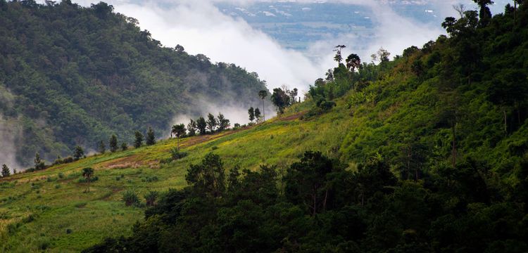 weather Equatorial Guinea Nsoc