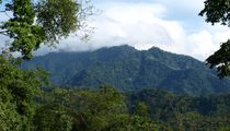 Tocoa