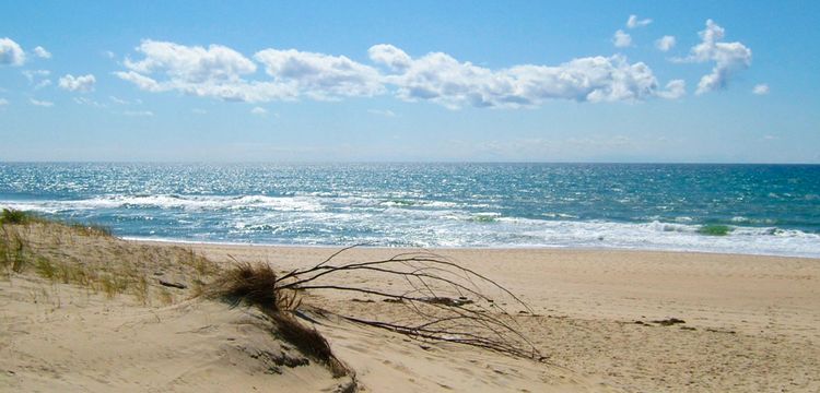 meteo Francia Plage Sud